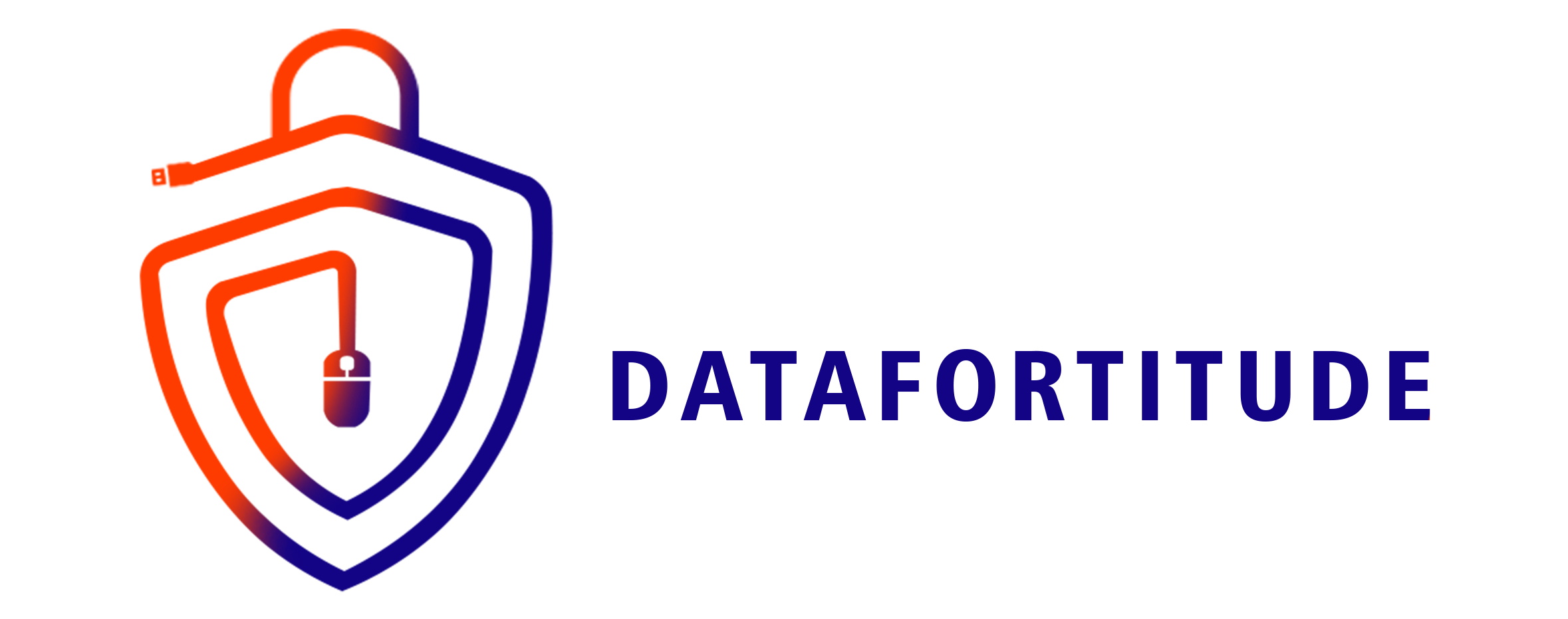 datafortitude.com
